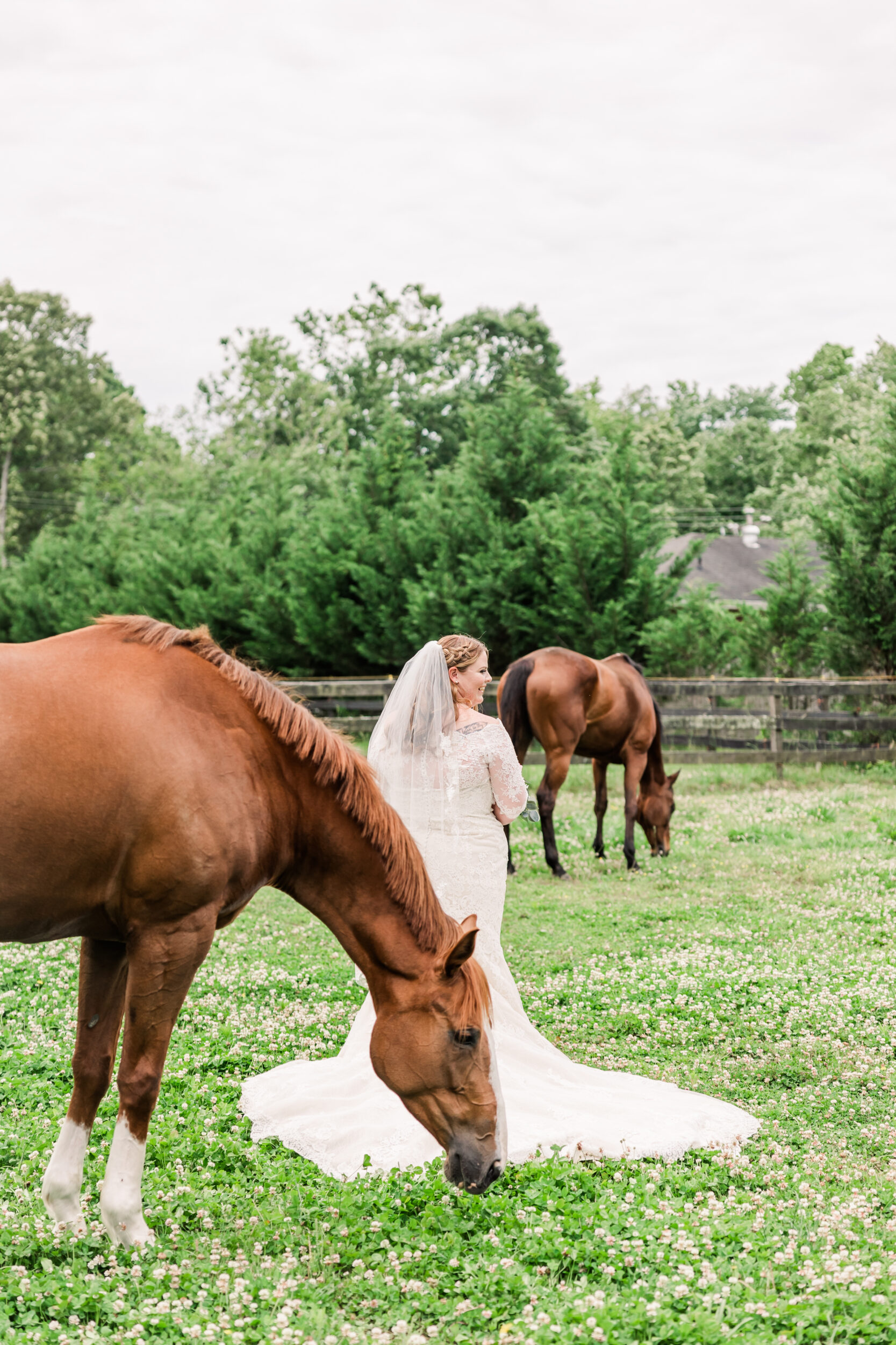 Bride with her horses, Wedding photographer